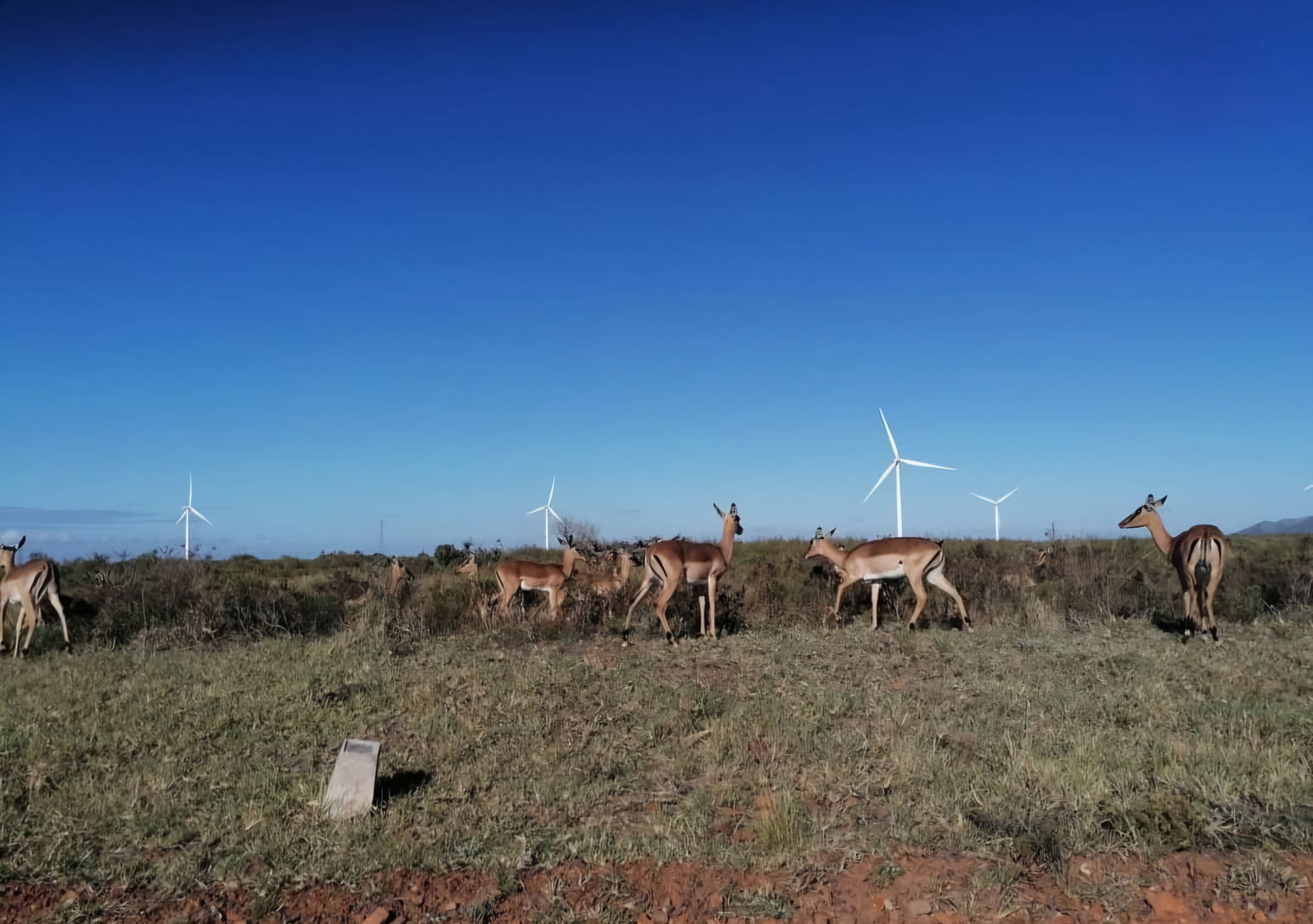 Screenshot_20250711_164824_Instagram