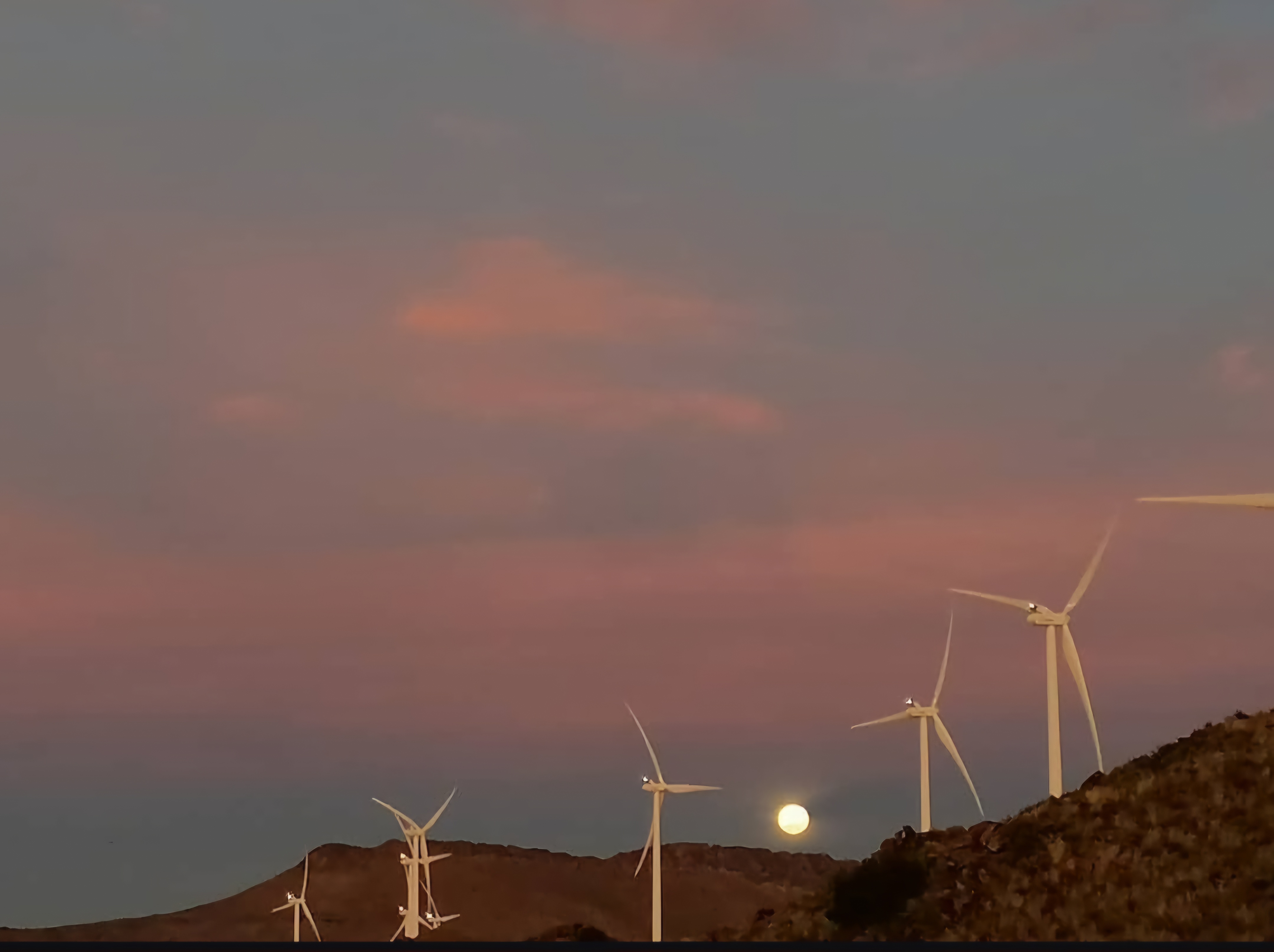 Screenshot_20250711_164850_Instagram